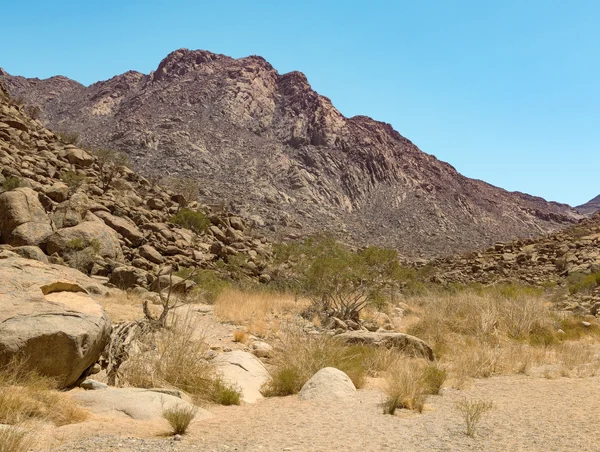 Brandberg in Namibia