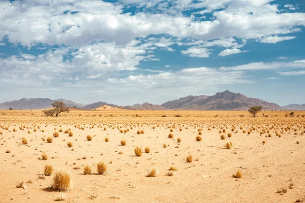 Wüstenlandschaft in Namibia mit Bergen
