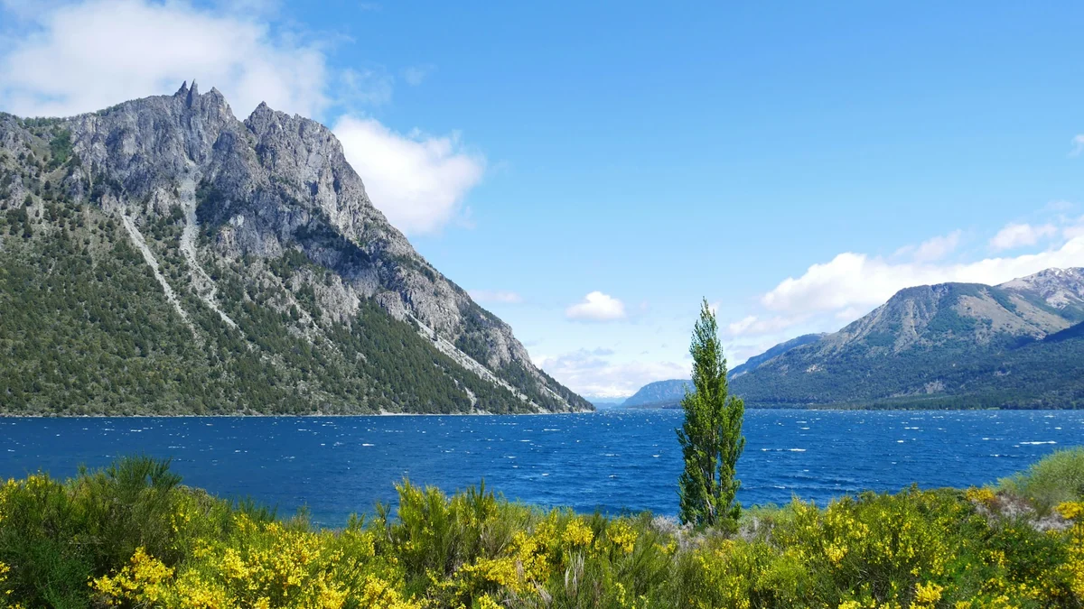Blauer Nahuel-Huapi-See bei Bariloche mit bewaldeten Berghängen und gelb blühenden Sträuchern am Ufer.