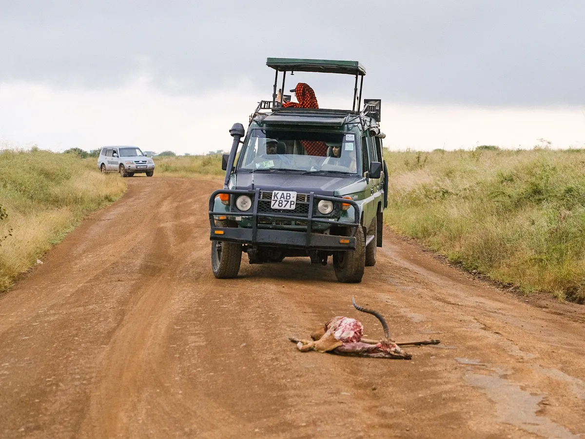 Tour im Nairobi Nationalpark