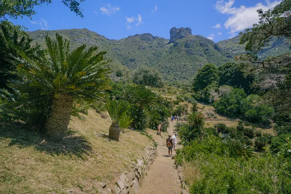 Kirstenbosch Botanischer Garten Kapstadt