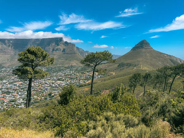 Tafelberg und Lions Head vom Signal Hill