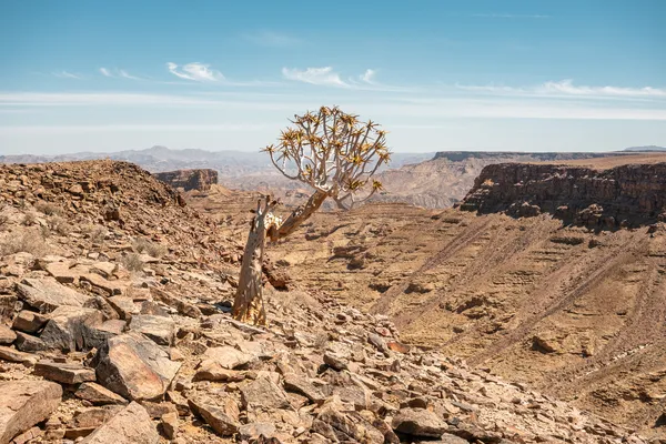 Die wilde Natur Namibias