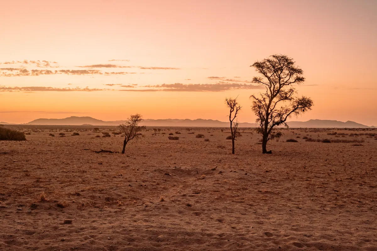 Sonnenuntergang im afrikanischen Busch