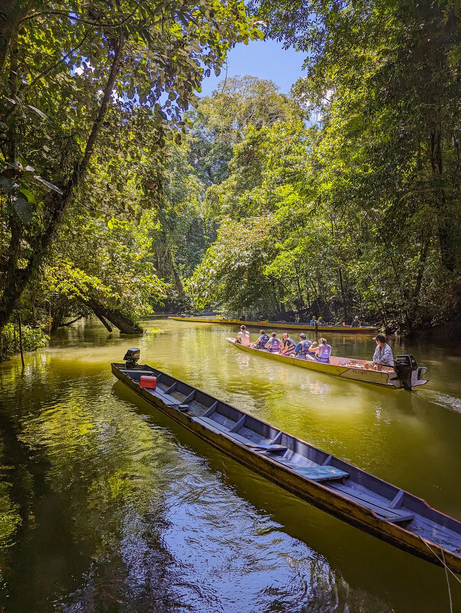 Fluss im Mulu-Nationalpark