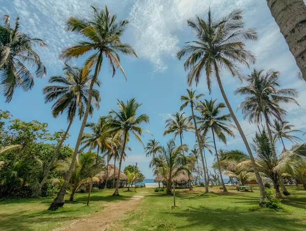 Santa Marta und der Tayrona Nationalpark