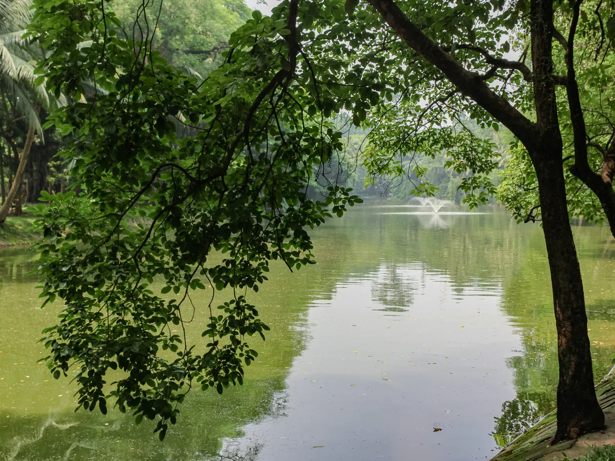 Blick auf den See im botanischen Garten von Hanoi