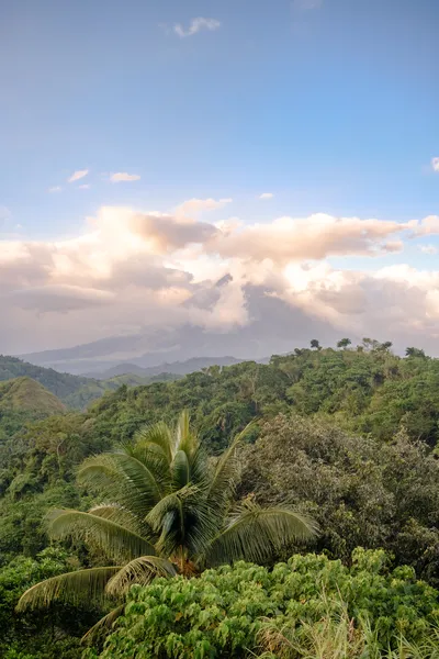 Mayon Vulkan umgeben von einem Wolkenschleier mit Regenwald im Vordergrund