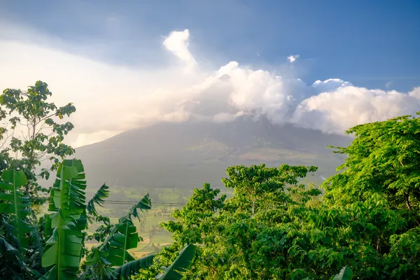 Mt. Mayon umhüllt von einem Wolkenschleier. Anblick von einem Hügel in Legazpi.