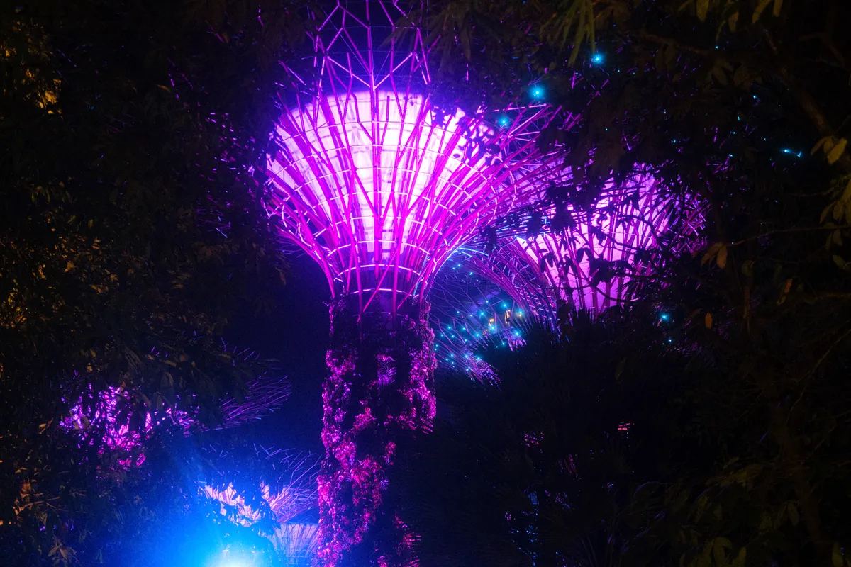 Supertree Grove Brücke beleuchtet bei Nacht