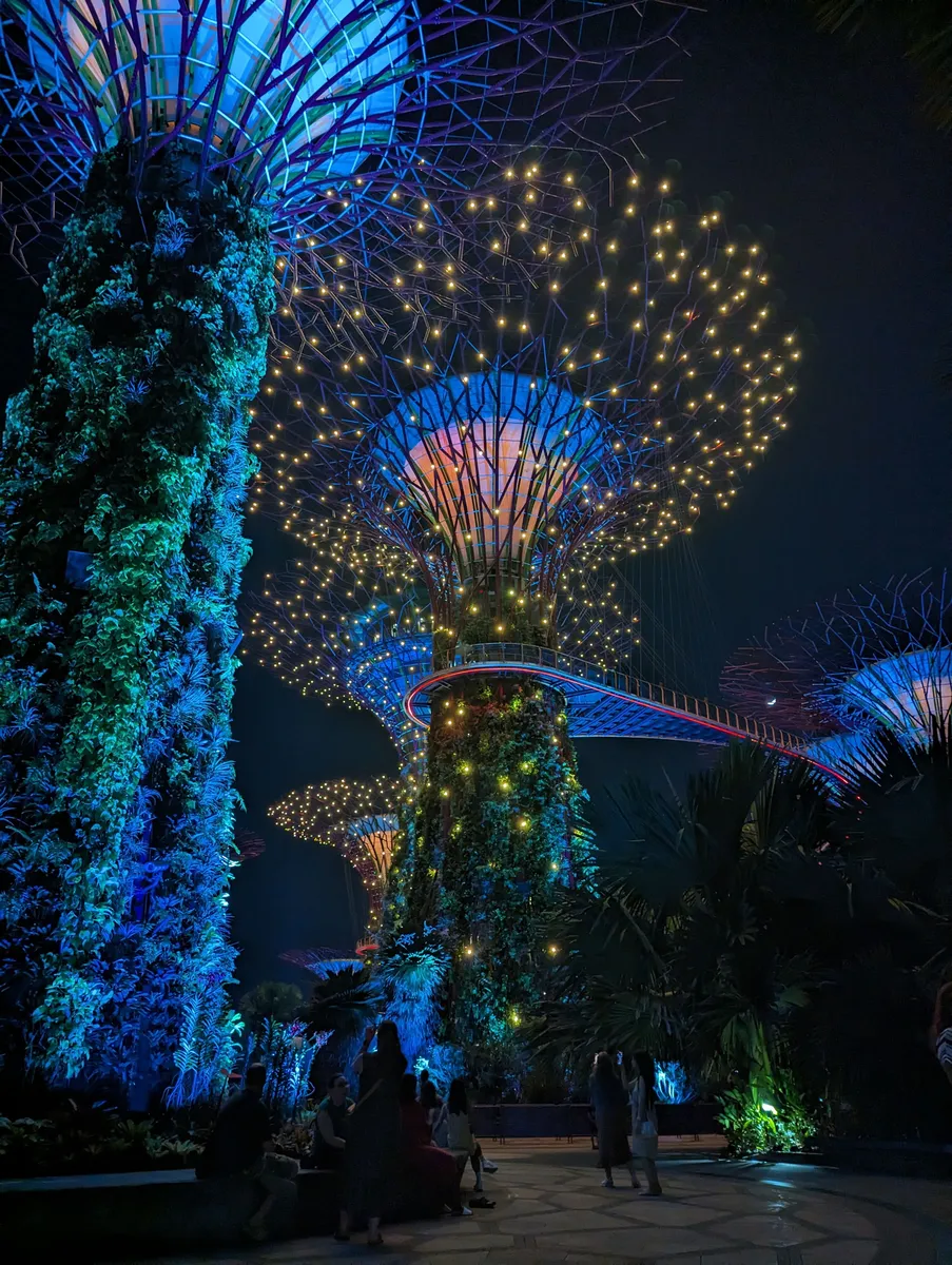 Supertree Grove in Singapur bei Nacht