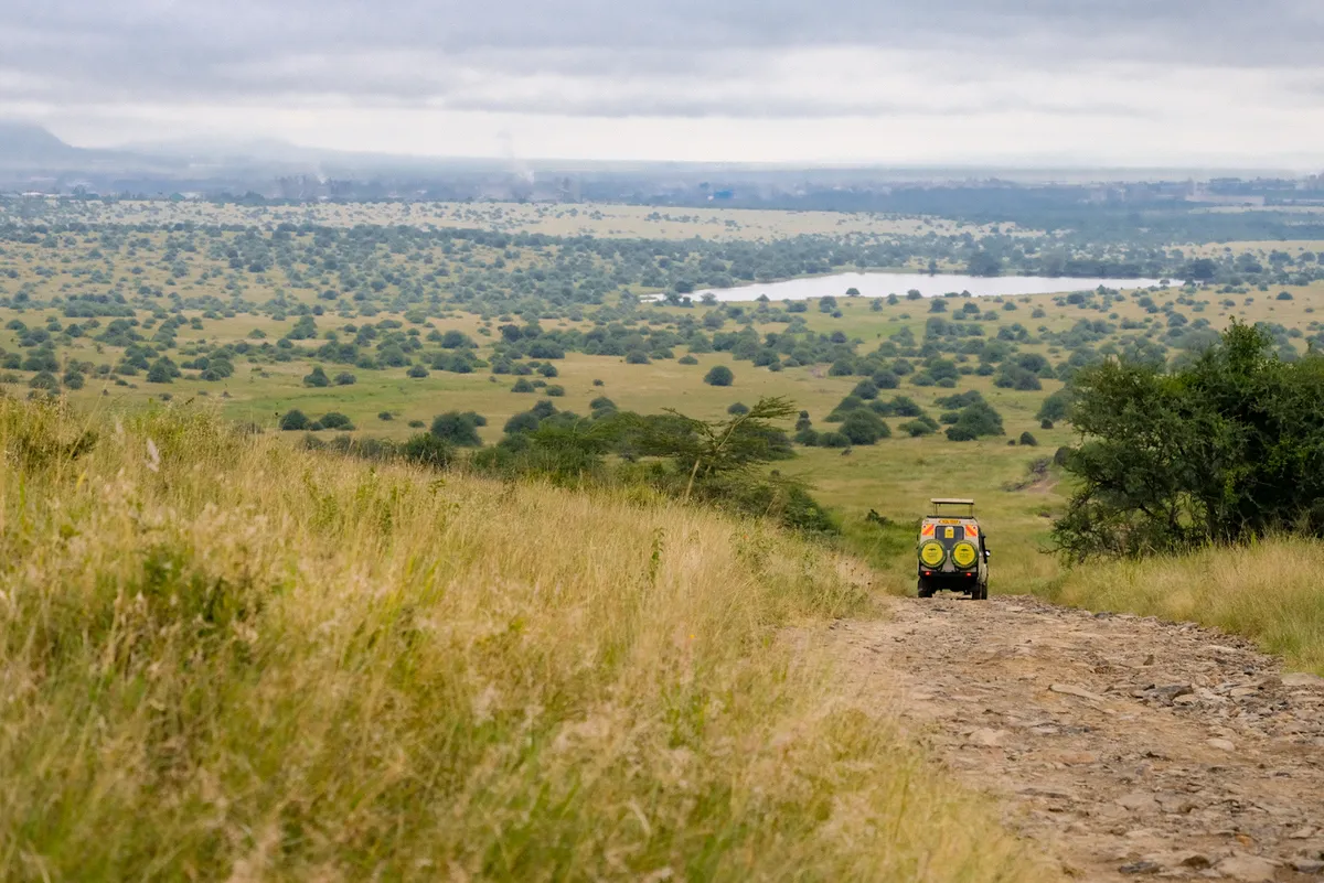 Savanne im Nairobi Nationalpark