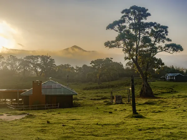 Abendstimmung am Fuße des Mt. Kenya