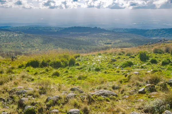 Landschaft vom Old Moses Camp aus